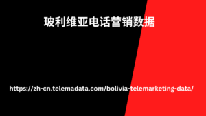 玻利维亚电话营销数据